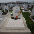мозайка, паметници, Варна, Тополи