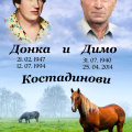 триплекс, паметници, Варна, Тополи