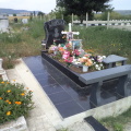 Гранит, паметници, Варна, Тополи