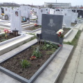Гранит, паметници, Варна, Тополи